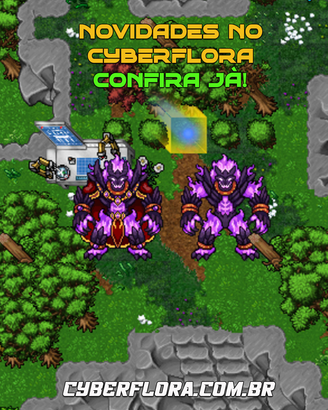 Imagem do Cyberflora 11