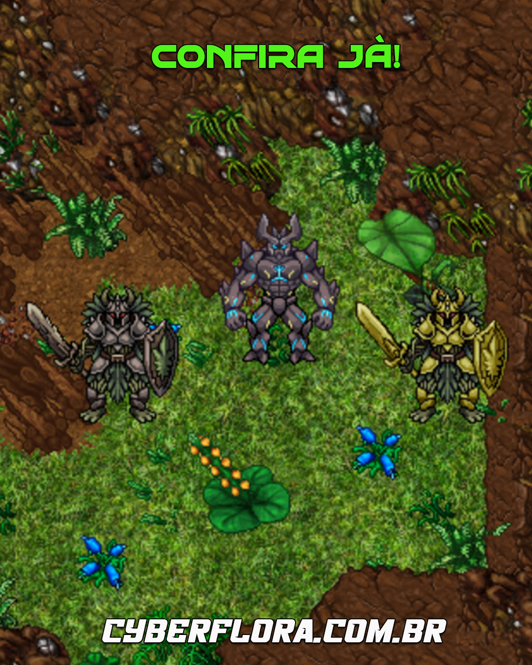 Imagem do Cyberflora 12