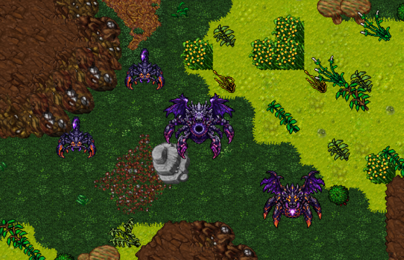 Imagem do Cyberflora 5